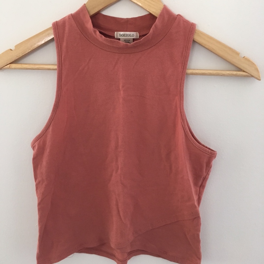 Dusty Coral Crop Top